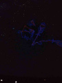 IMG-20231206-WA0022