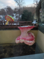 IMG-20231213-WA0024
