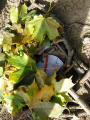 IMG-20221013-WA0000