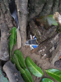 IMG-20221013-WA0001