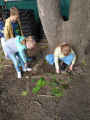 IMG-20221013-WA0009