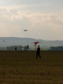 IMG-20221013-WA0035