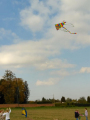 IMG-20221013-WA0037