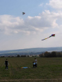 IMG-20221013-WA0039