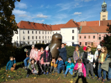 IMG_20231102_121213-scaled