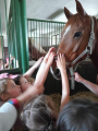 IMG-20240517-WA0003
