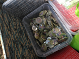 IMG-20230412-WA0017