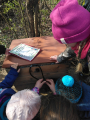 IMG-20230412-WA0018