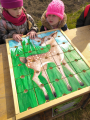 IMG-20230412-WA0019