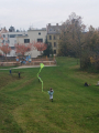 IMG-20241031-WA0020