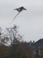 IMG-20241031-WA0021