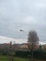 IMG-20241031-WA0022