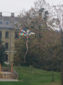 IMG-20241031-WA0026
