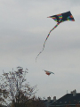 IMG-20241031-WA0027