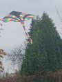 IMG-20241031-WA0028