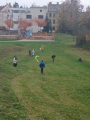IMG-20241031-WA0032