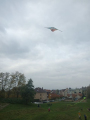 IMG-20241031-WA0033