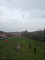 IMG-20241031-WA0035