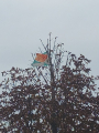 IMG-20241031-WA0038