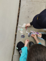 IMG-20230324-WA0013