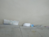 IMG-20230324-WA0021