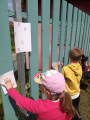 IMG-20250504-WA0037