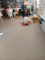 IMG-20241205-WA0007