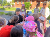 IMG-20260528-WA0006