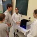 Den profesí
