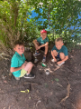 IMG-20250626-WA0050
