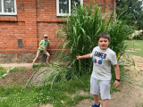 IMG-20250626-WA0051