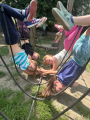IMG-20250626-WA0055