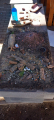 IMG-20250324-WA0030
