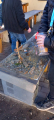 IMG-20250324-WA0031