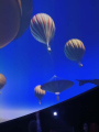 IMG-20241114-WA0014