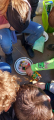 IMG-20250324-WA0010