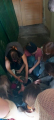 IMG-20250324-WA0016