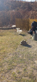 IMG-20250324-WA0018