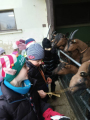 IMG-20241212-WA0006