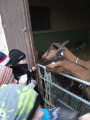IMG-20241212-WA0007