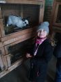 IMG-20241212-WA0009