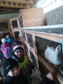 IMG-20241212-WA0010