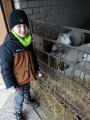 IMG-20241212-WA0011