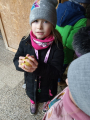 IMG-20241212-WA0012