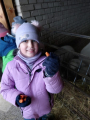 IMG-20241212-WA0013