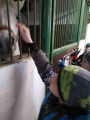 IMG-20241212-WA0014