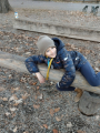 IMG-20241202-WA0011