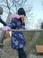 IMG-20241202-WA0018