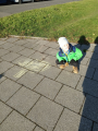 IMG-20241124-WA0024