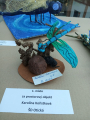 IMG-20250504-WA0021